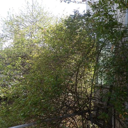 Silver House Varna Dış mekan fotoğraf